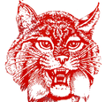 Bobcats mascot photo.
