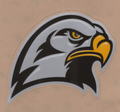 Nighthawks mascot photo.