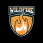 Wildfire HSA