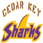 Cedar Key High School 