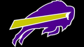Buffalos mascot photo.