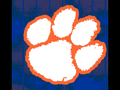 Cougars mascot photo.
