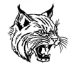 Wildcats mascot photo.