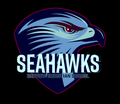 Seahawks mascot photo.