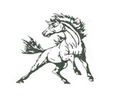 Broncos mascot photo.