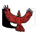 Cardinals mascot photo.