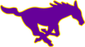 Mustangs mascot photo.