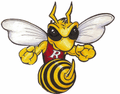 Hornets mascot photo.
