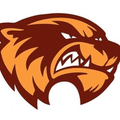 Wolverines mascot photo.