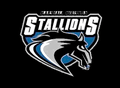 Stallions mascot photo.