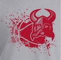 Vikings mascot photo.