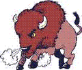Bison mascot photo.