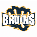 The Bruins mascot photo.