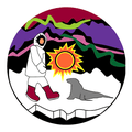 Northern Lights mascot photo.
