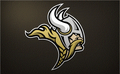 Vikings mascot photo.