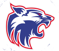 Wildcats mascot photo.