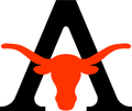 Longhorns mascot photo.