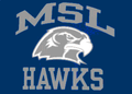 Hawks mascot photo.
