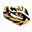 Swainsboro