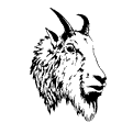 Billygoats/Nannies mascot photo.