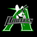 Hornets mascot photo.