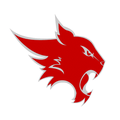 Wildcats mascot photo.