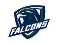 Falcons mascot photo.
