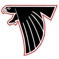 Falcons mascot photo.