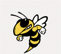 Yellowjackets mascot photo.
