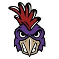 Roosters/Chicks mascot photo.