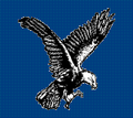 Eagles mascot photo.