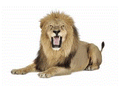  mascot photo.