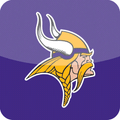 Vikings/Viqueens mascot photo.