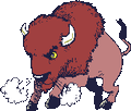 Bison mascot photo.