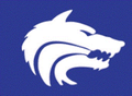 Wolves mascot photo.
