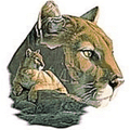 Cougars mascot photo.