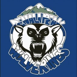 Denali PEAK