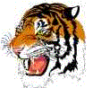 Tigers mascot photo.