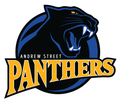 Panthers mascot photo.