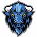 Bison mascot photo.