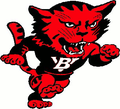 Redcats mascot photo.