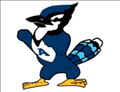 Bluejays mascot photo.