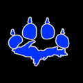 Cougars mascot photo.