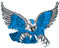 Nighthawks mascot photo.