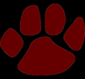 Lions mascot photo.