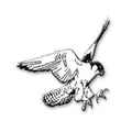 Falcons mascot photo.