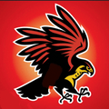 Falcon mascot photo.