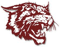 Wildcats mascot photo.