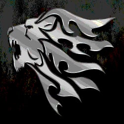 Fort Wayne Lions