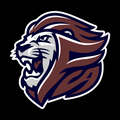Lions mascot photo.